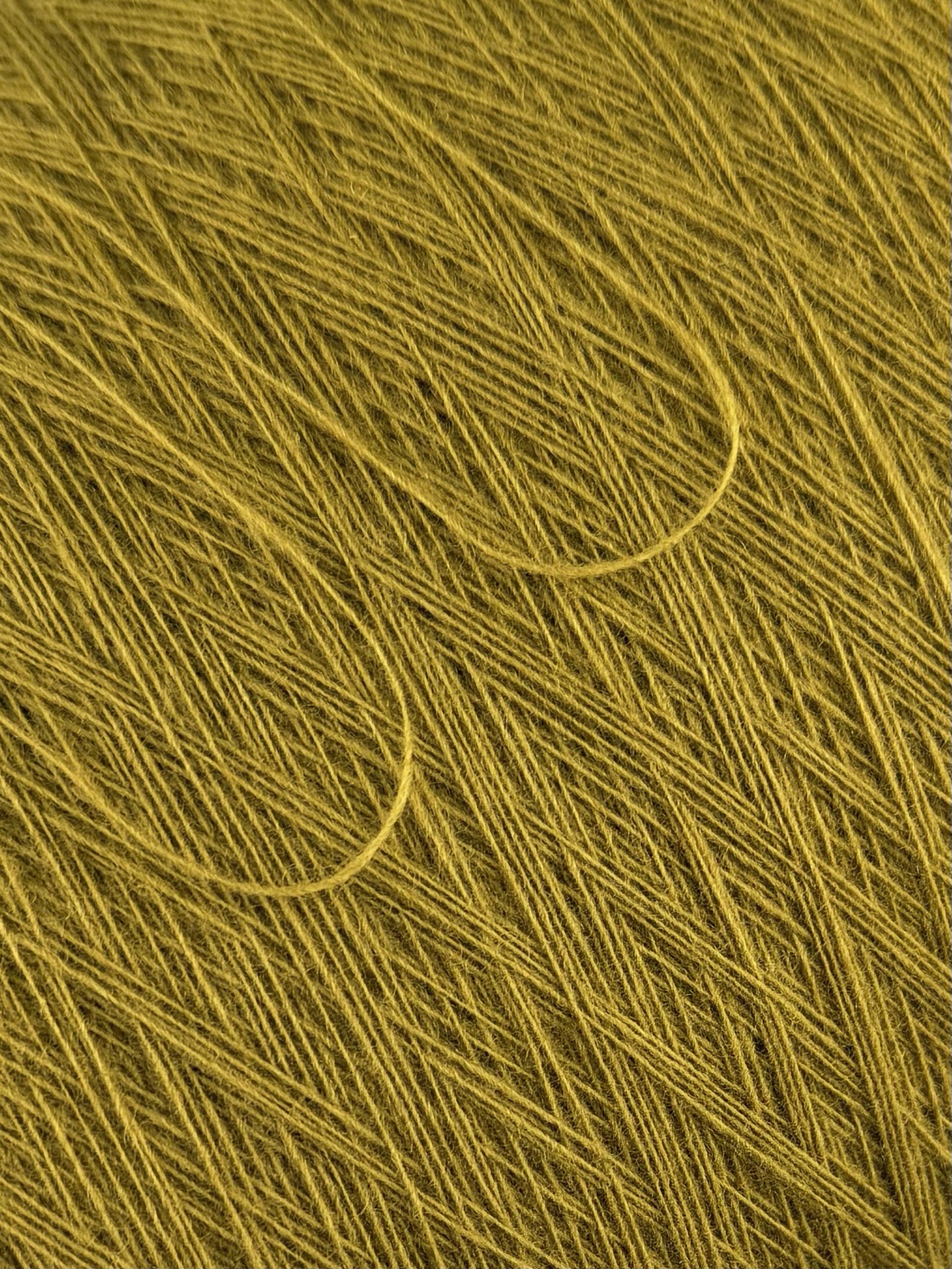 Papi Fabio Silte 1/15 – Filato Merino Supergeelong Giallo Oliva 2589